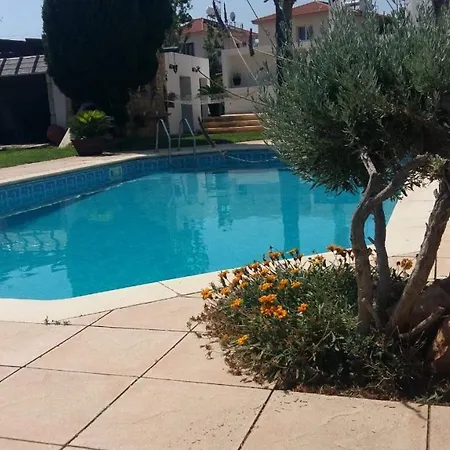 Modern With Garden And Pool